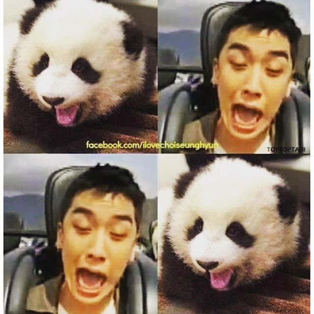T.O.P Instagram Feb 5, 2016 12:01am Who are you