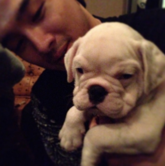Taeyang’s Family Dog Gets Kidnapped